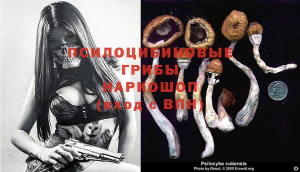герыч Инта